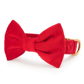 Cranberry Velvet Bow Tie Collar