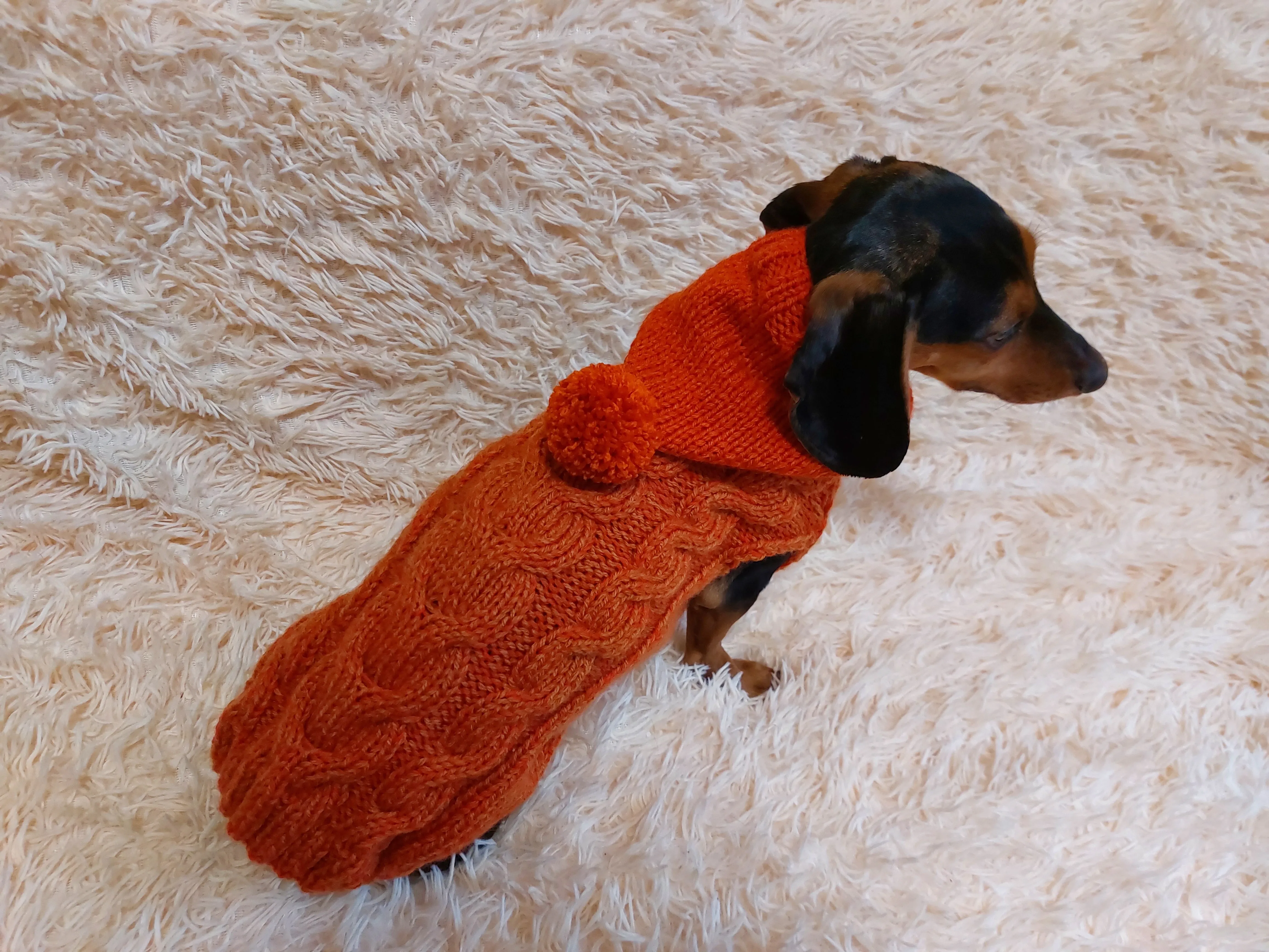 Dachshund clothes knitted hoodie sweater, knitted wool sweater for dachshund or small dog