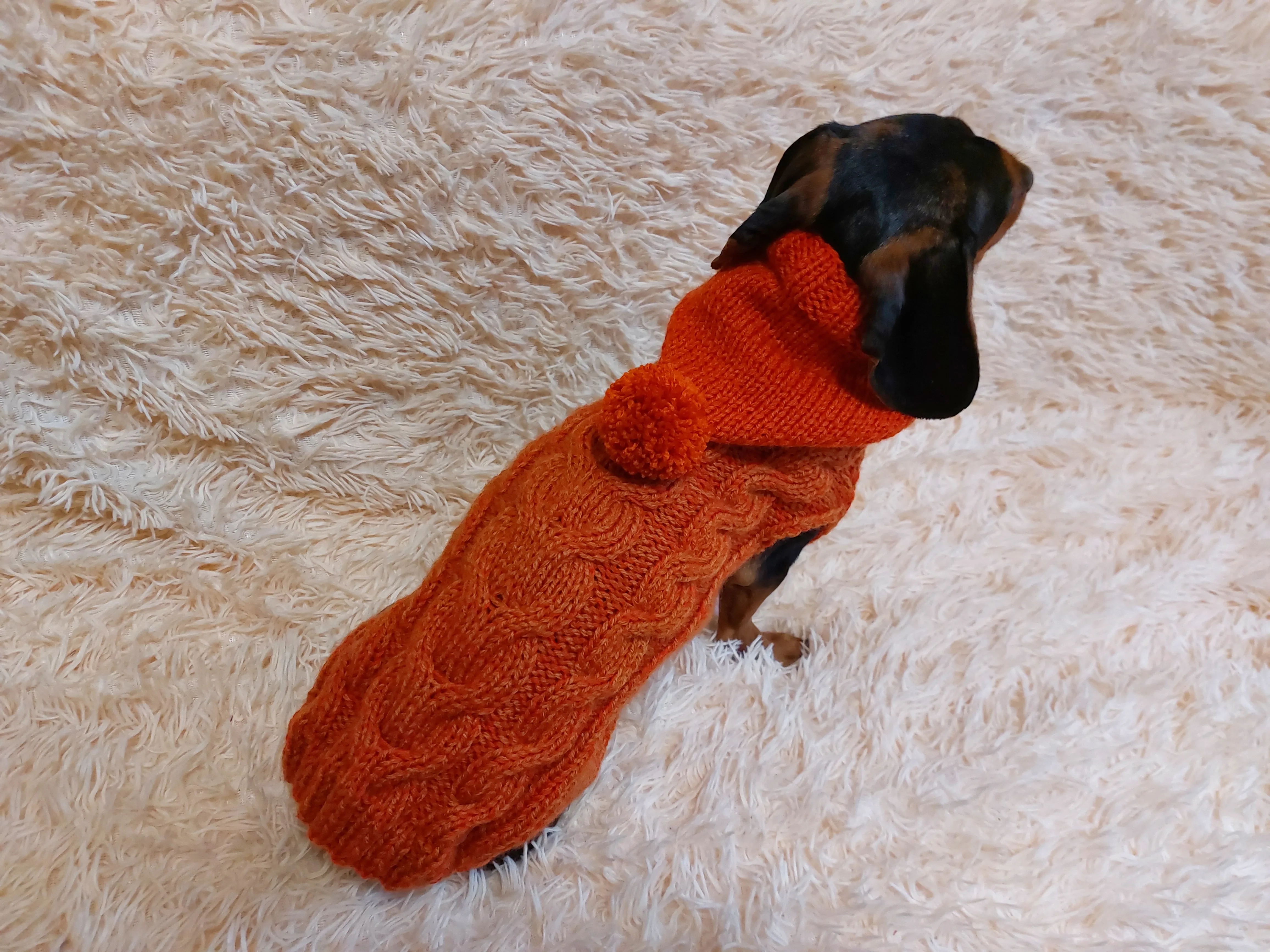 Dachshund clothes knitted hoodie sweater, knitted wool sweater for dachshund or small dog