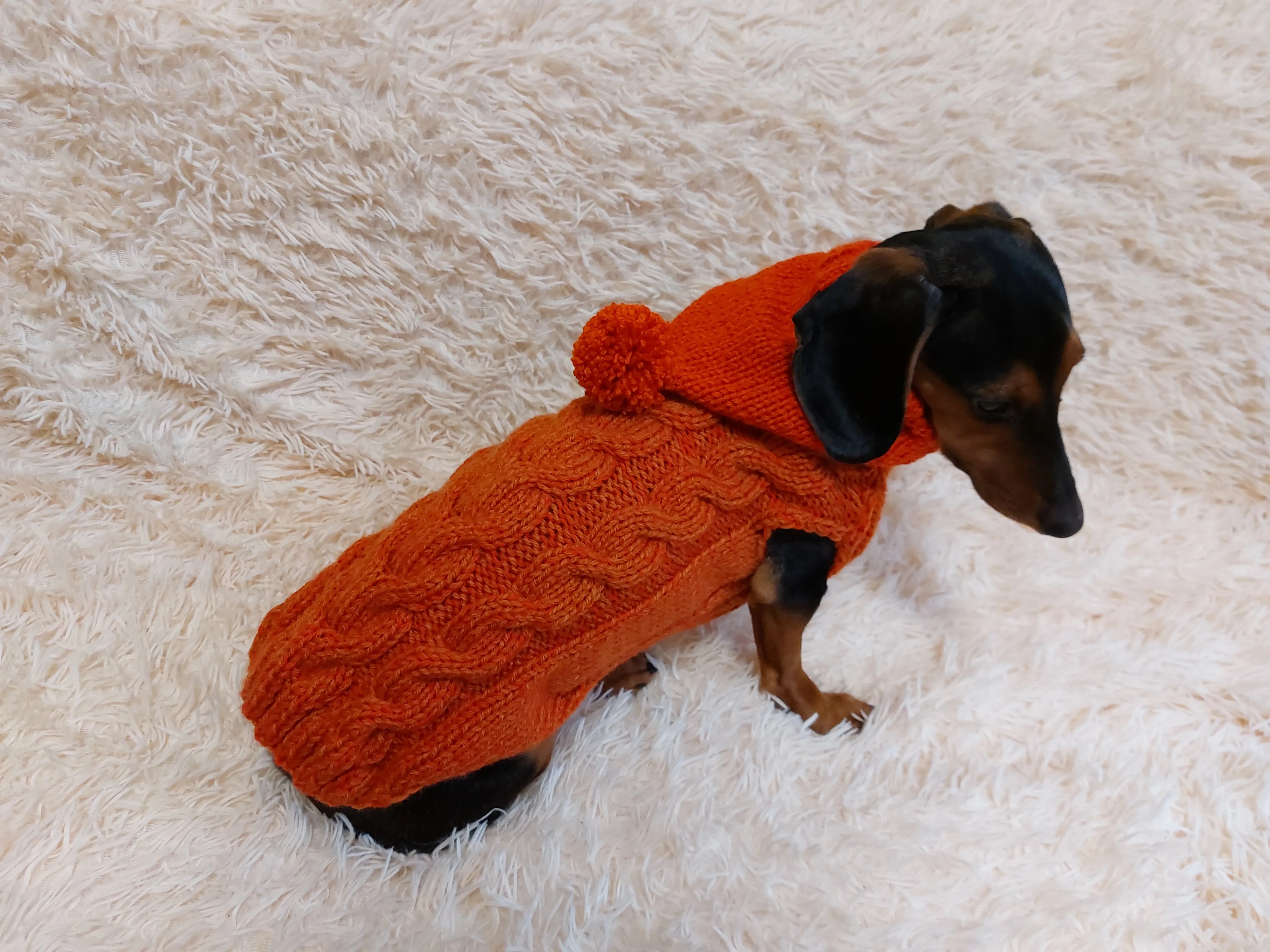 Dachshund clothes knitted hoodie sweater, knitted wool sweater for dachshund or small dog