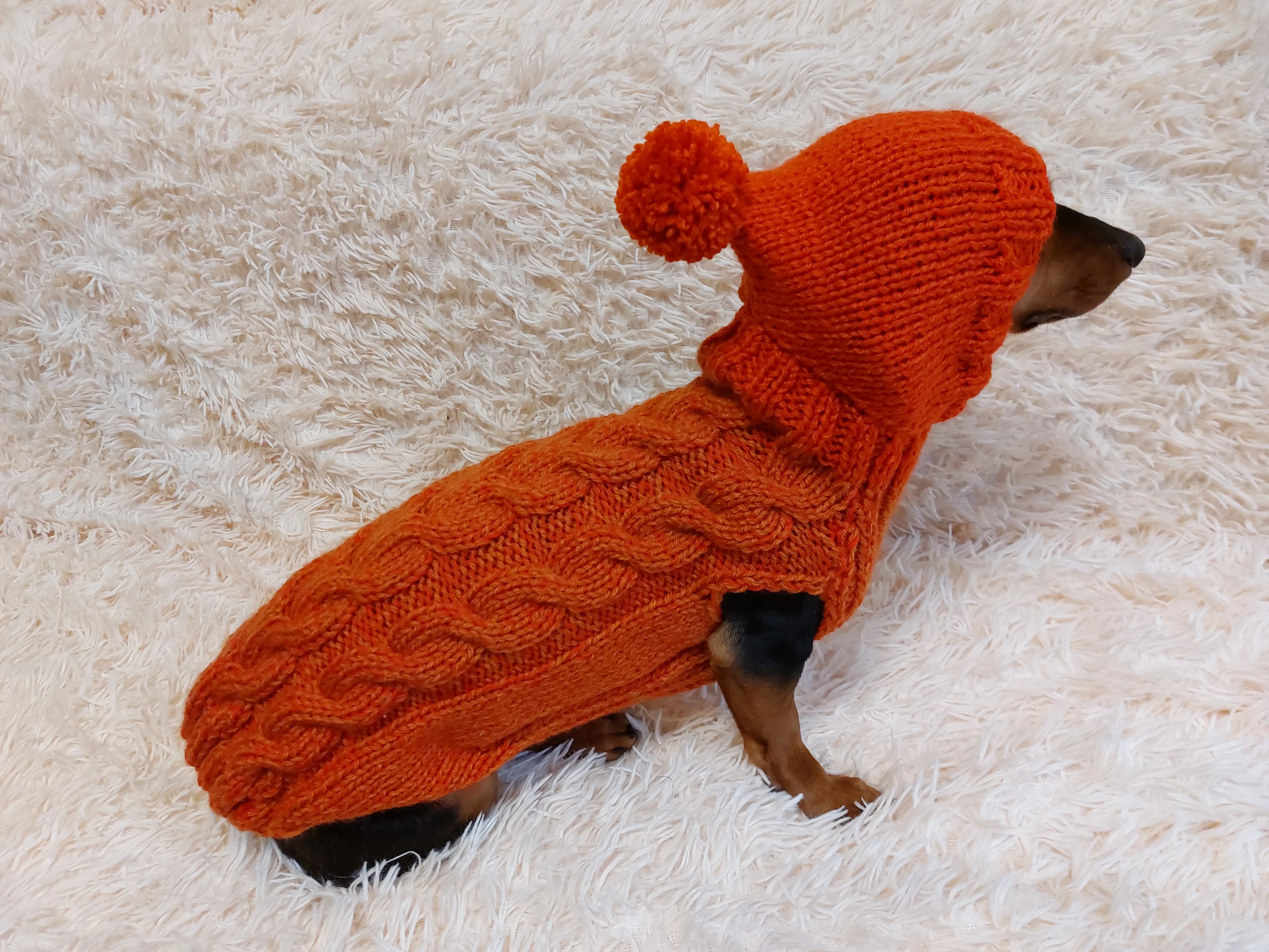 Dachshund clothes knitted hoodie sweater, knitted wool sweater for dachshund or small dog