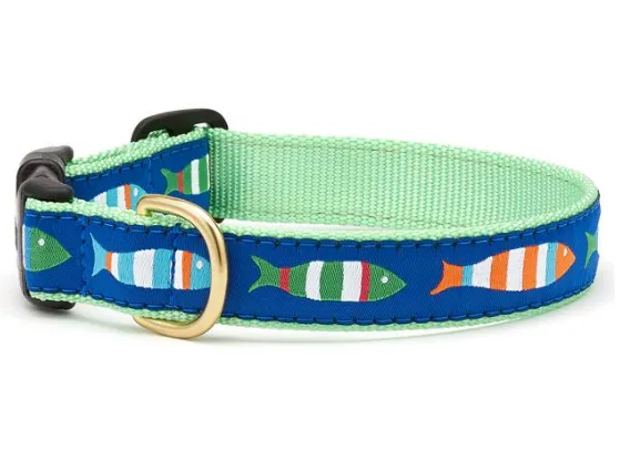 Funky Fish Dog Collar