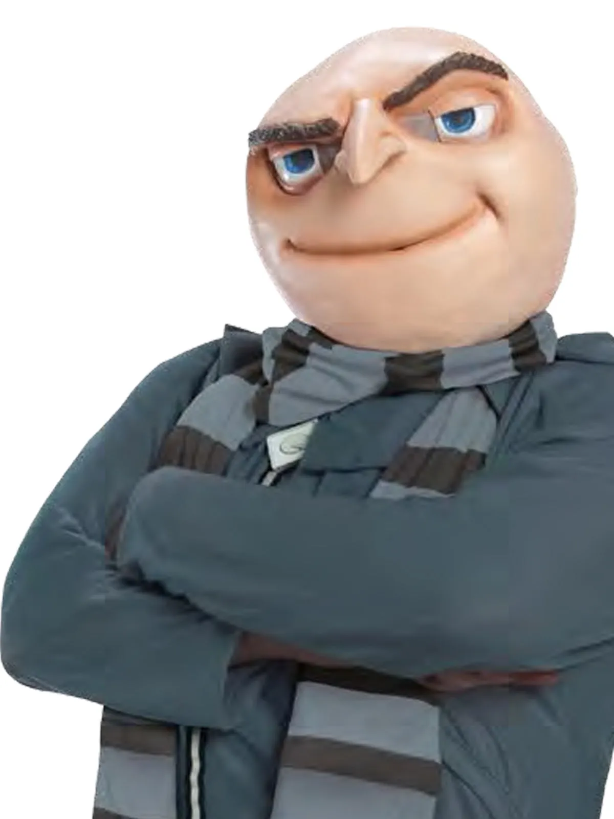 GRU COSTUME, ADULT