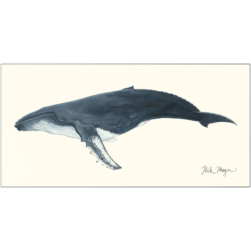 Humpback Whale Metal Print