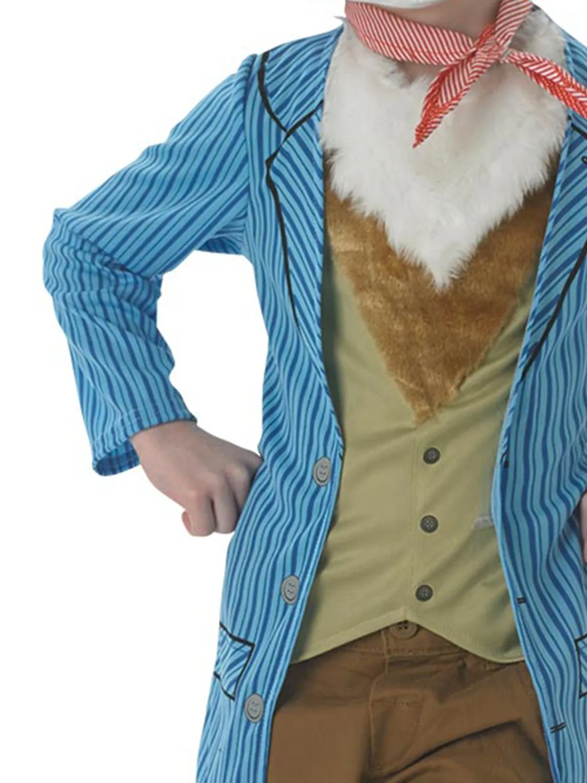 Mr Fox Deluxe Costume for Tweens