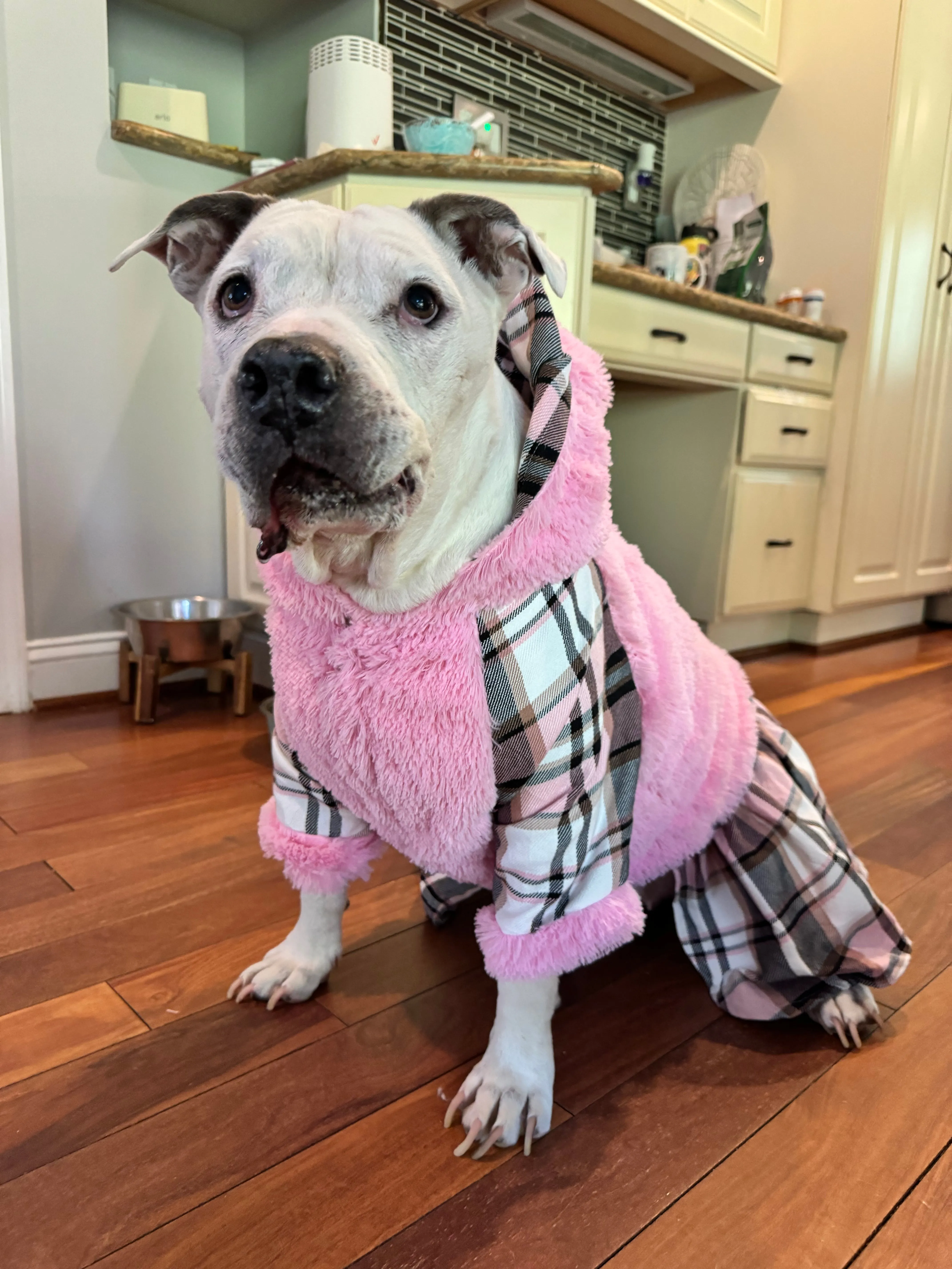 Pretty in Pink Dog Fuzzy Coat with Hoodie & Plaid Skirt