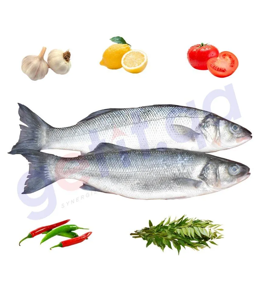 Sea Bass   -   ﻗﺎﺭﻭﺹ Centropristis striata 1Kg