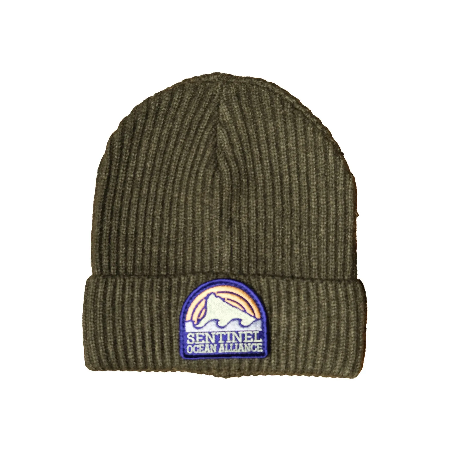 Sentinel Ocean Alliance New School Logo Beanie