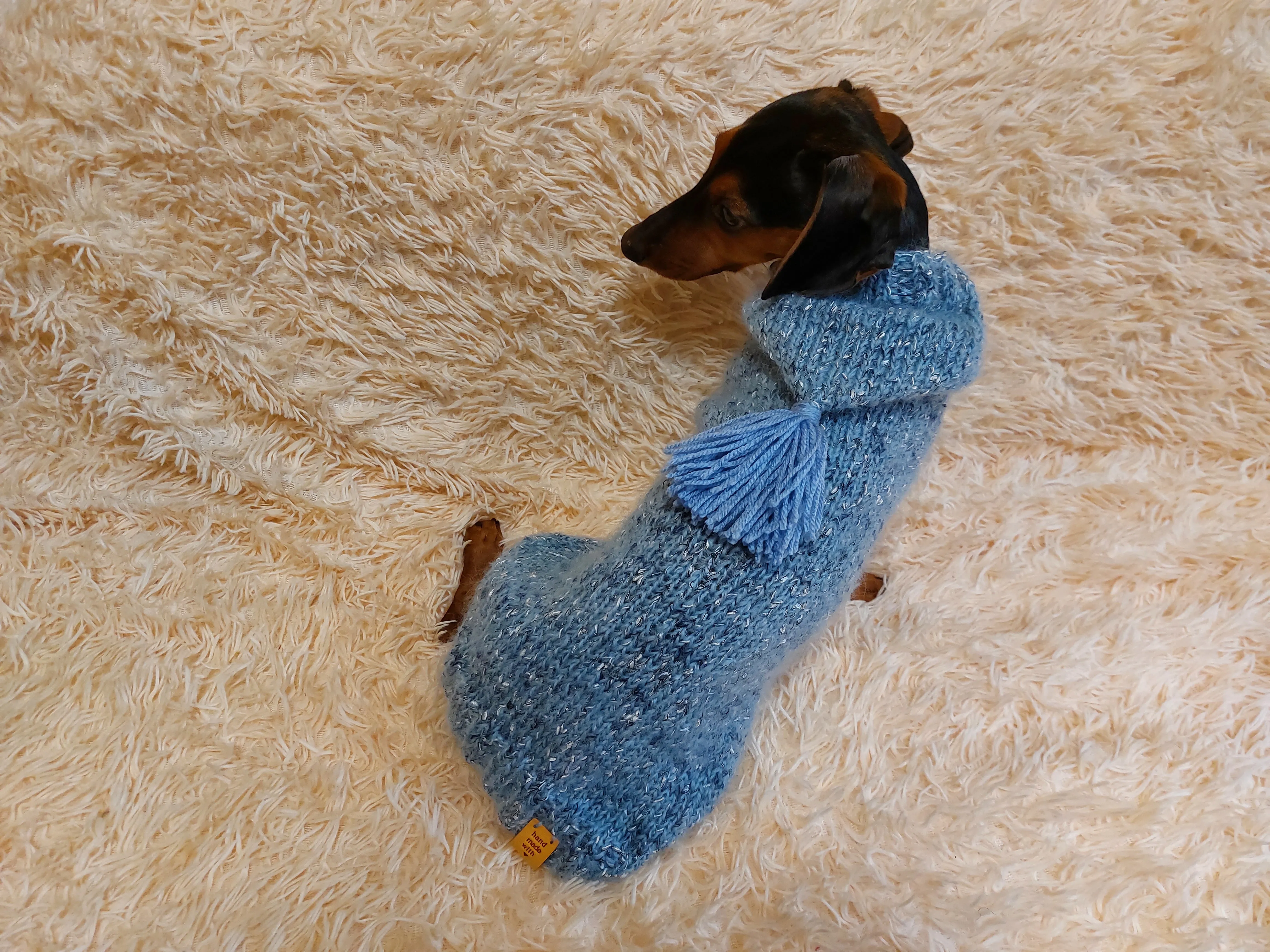 Sweatshirt winter coat for dogs, jumper for dachshunds, hoodies for pets