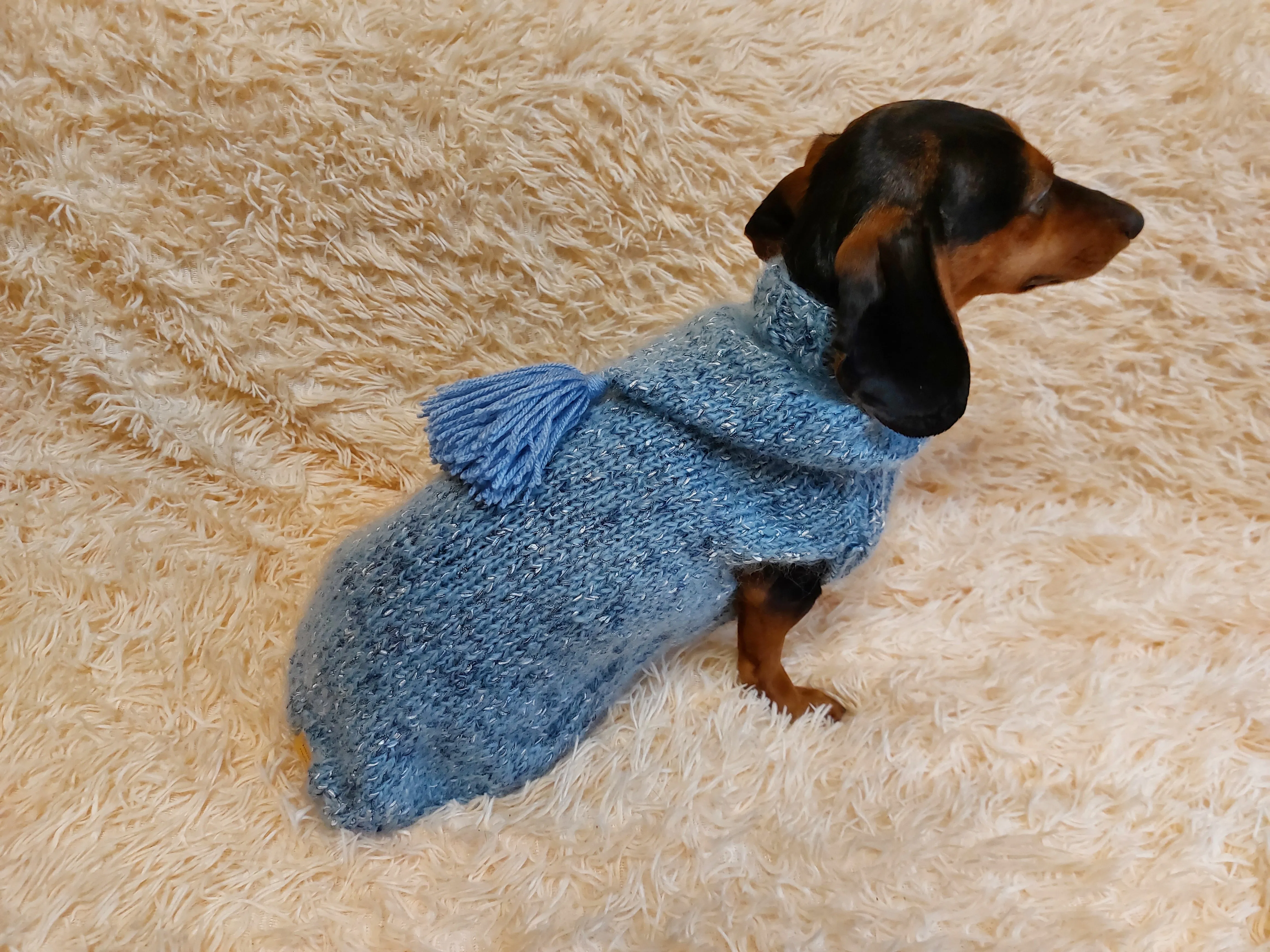 Sweatshirt winter coat for dogs, jumper for dachshunds, hoodies for pets