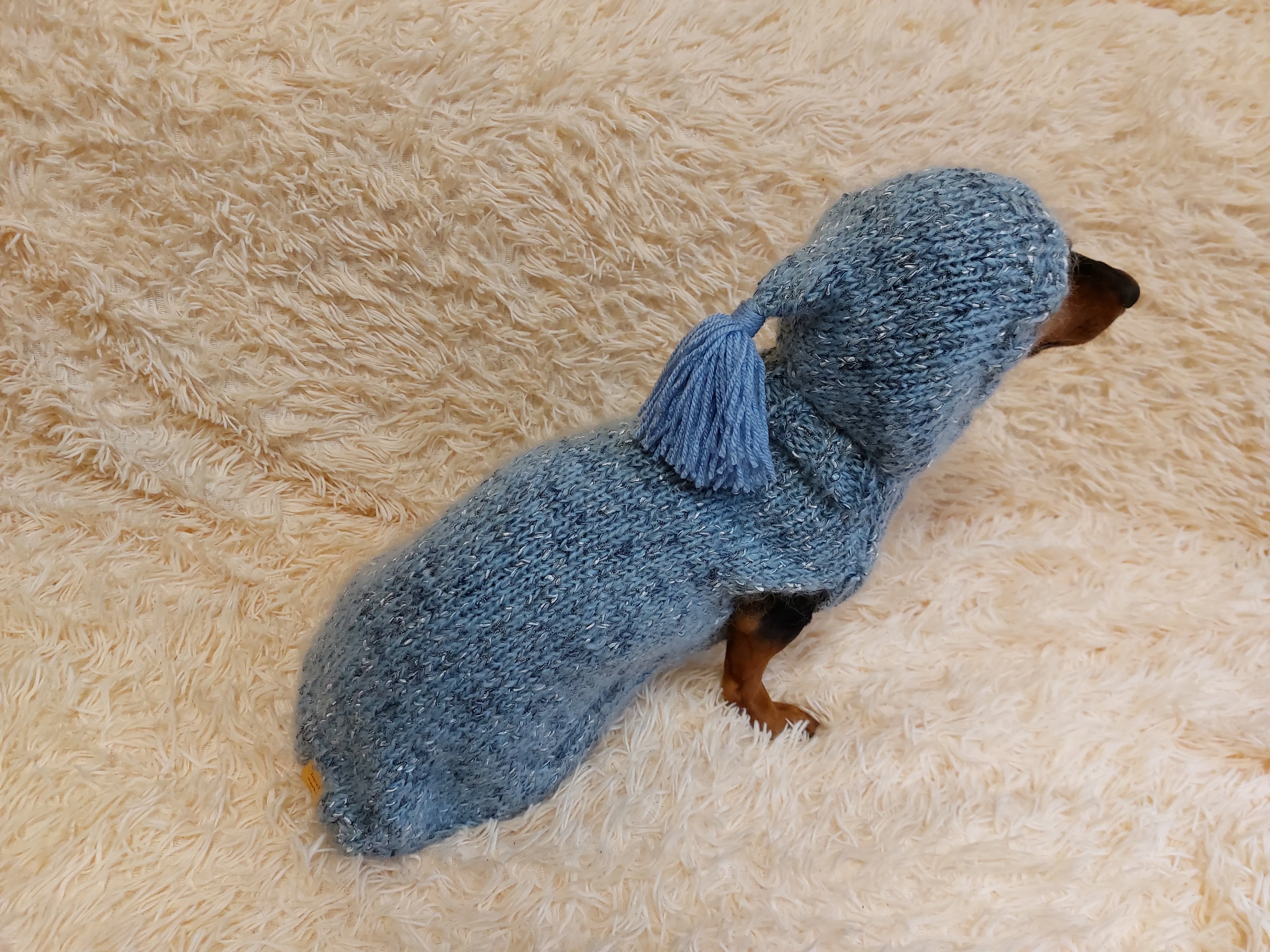 Sweatshirt winter coat for dogs, jumper for dachshunds, hoodies for pets