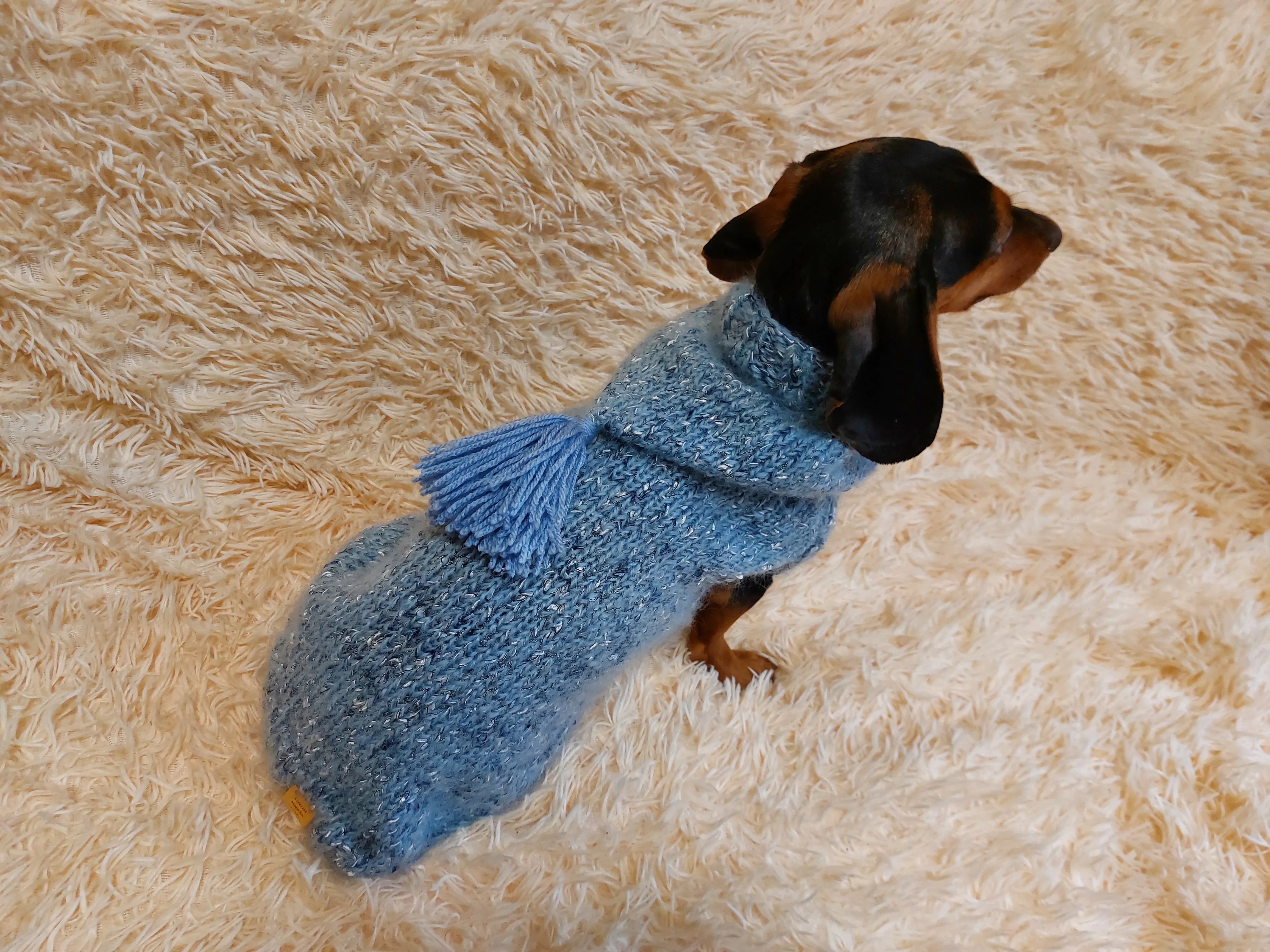 Sweatshirt winter coat for dogs, jumper for dachshunds, hoodies for pets