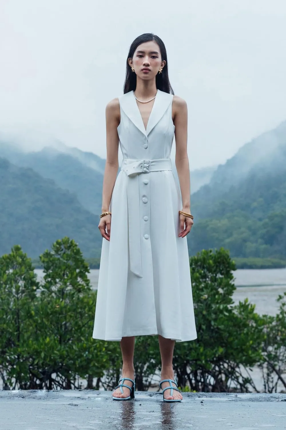 Vene A-line Collared Neck Twill Midi Dress