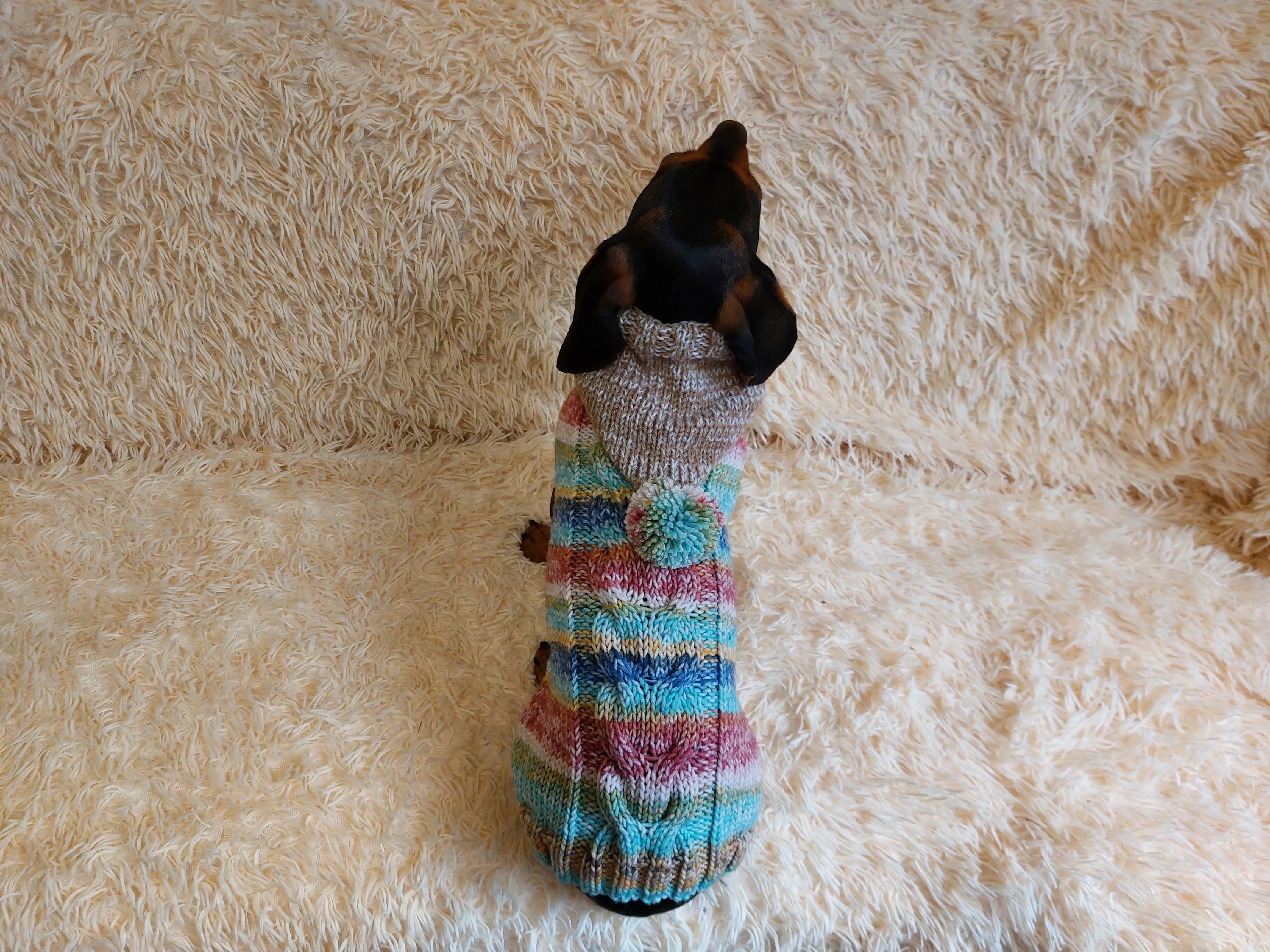 Warm wool coat for pets, sweatshirt for dogs, sweater hoodies for dachshunds