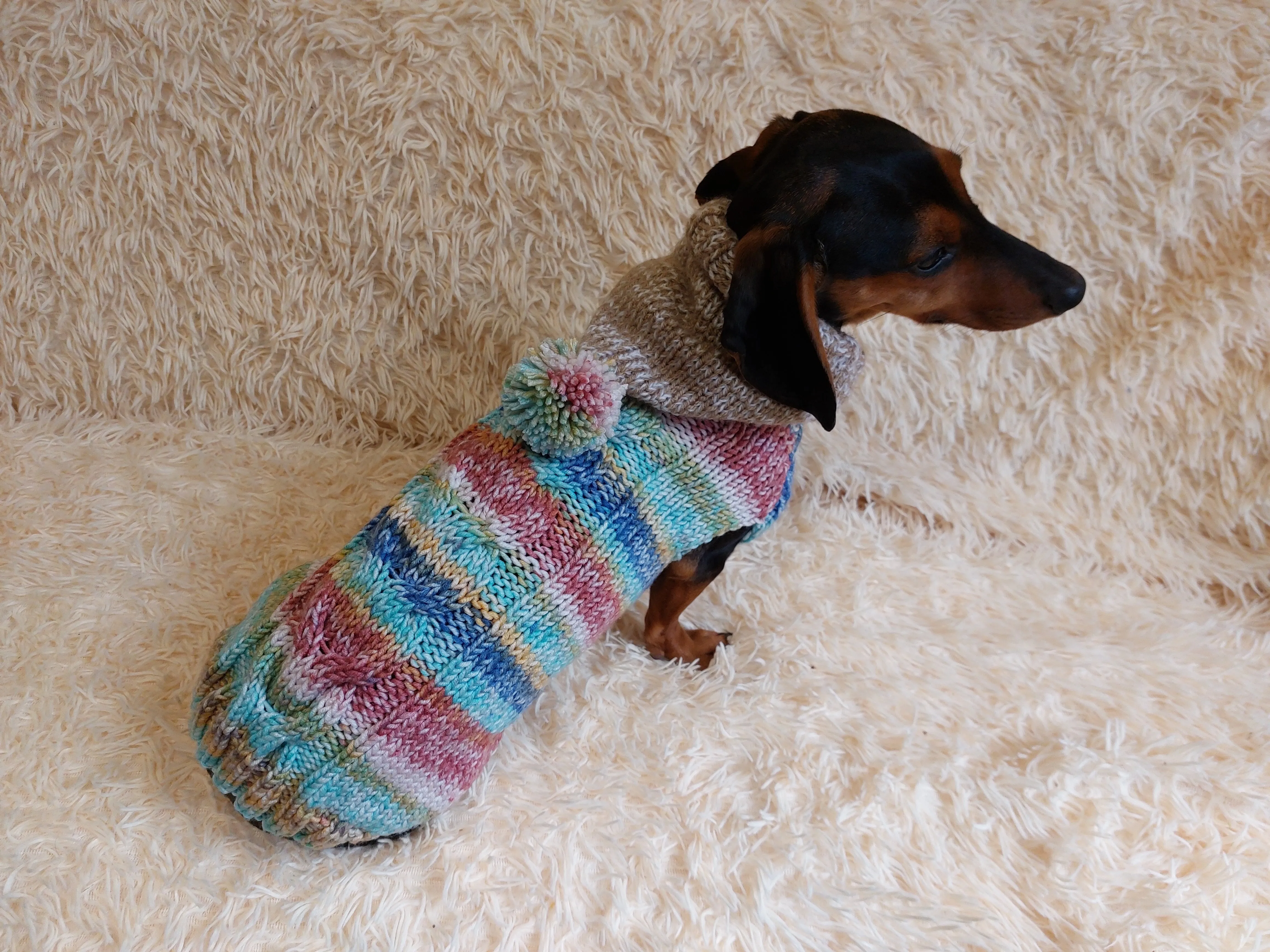 Warm wool coat for pets, sweatshirt for dogs, sweater hoodies for dachshunds