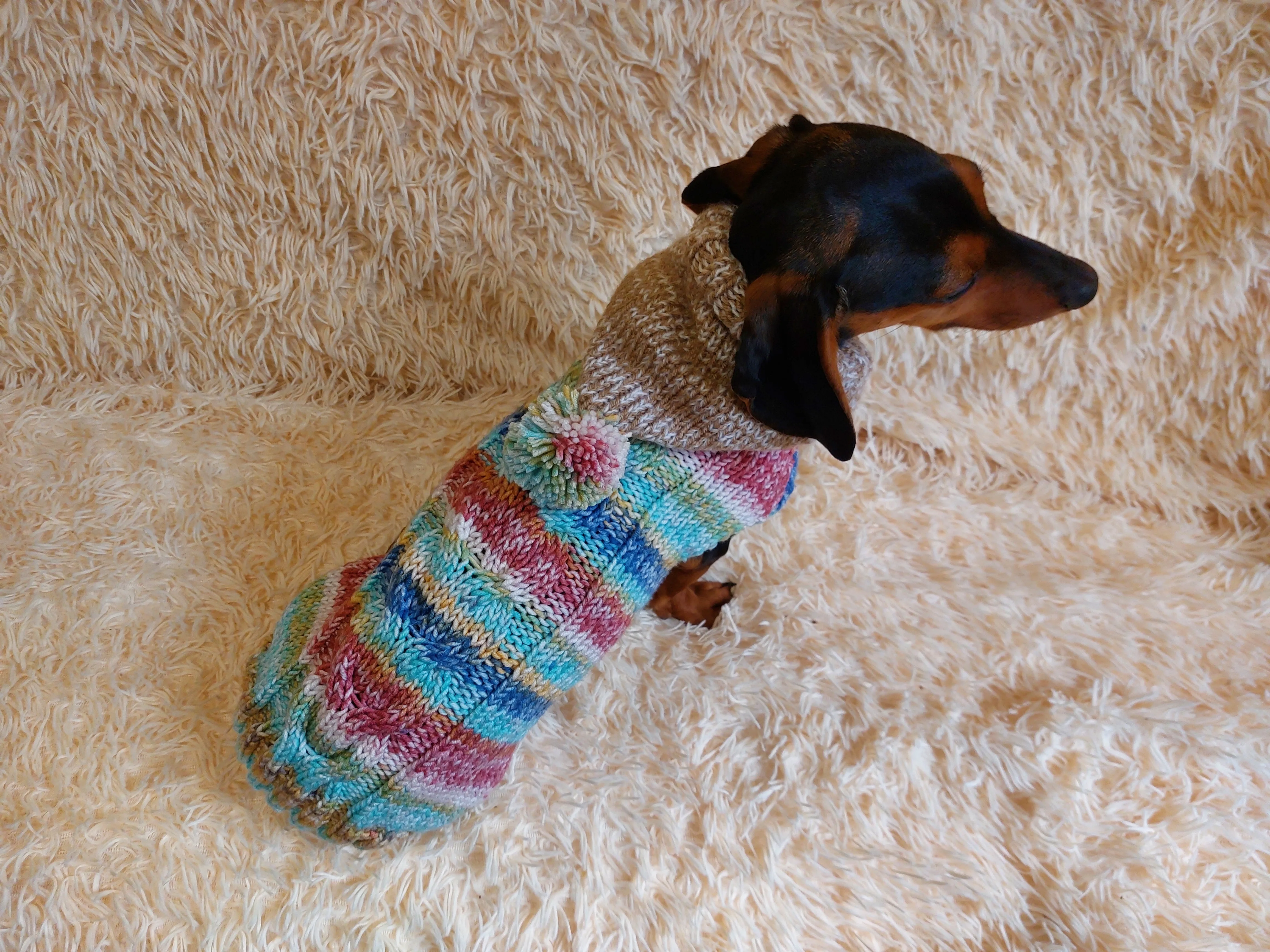 Warm wool coat for pets, sweatshirt for dogs, sweater hoodies for dachshunds