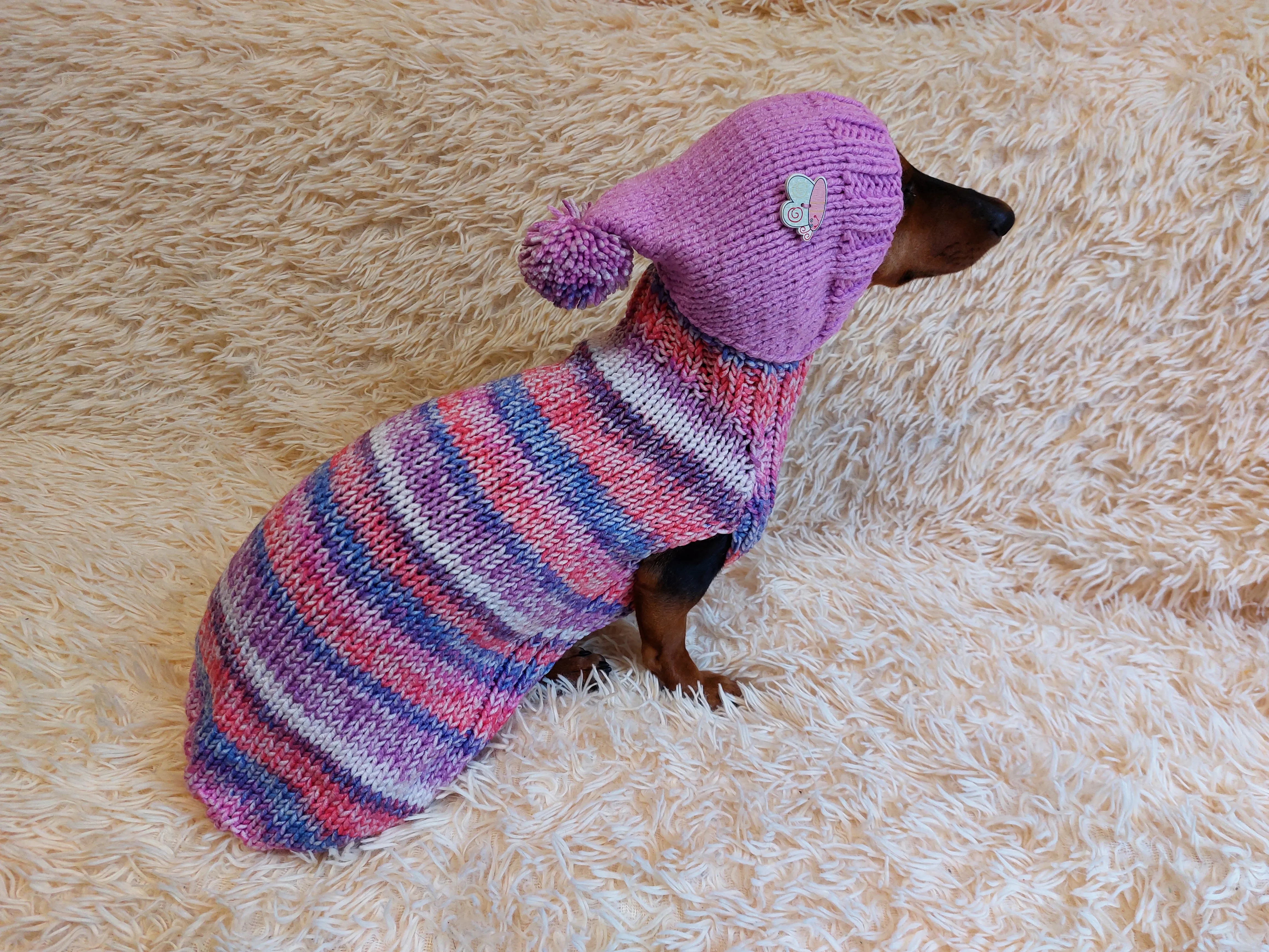 Warm Wool Stylish Clothes Pet Coat, Dog Hoodie, Dachshund Hooded Sweaters, Clothing for dachshund or small dog with sweater with hoodie