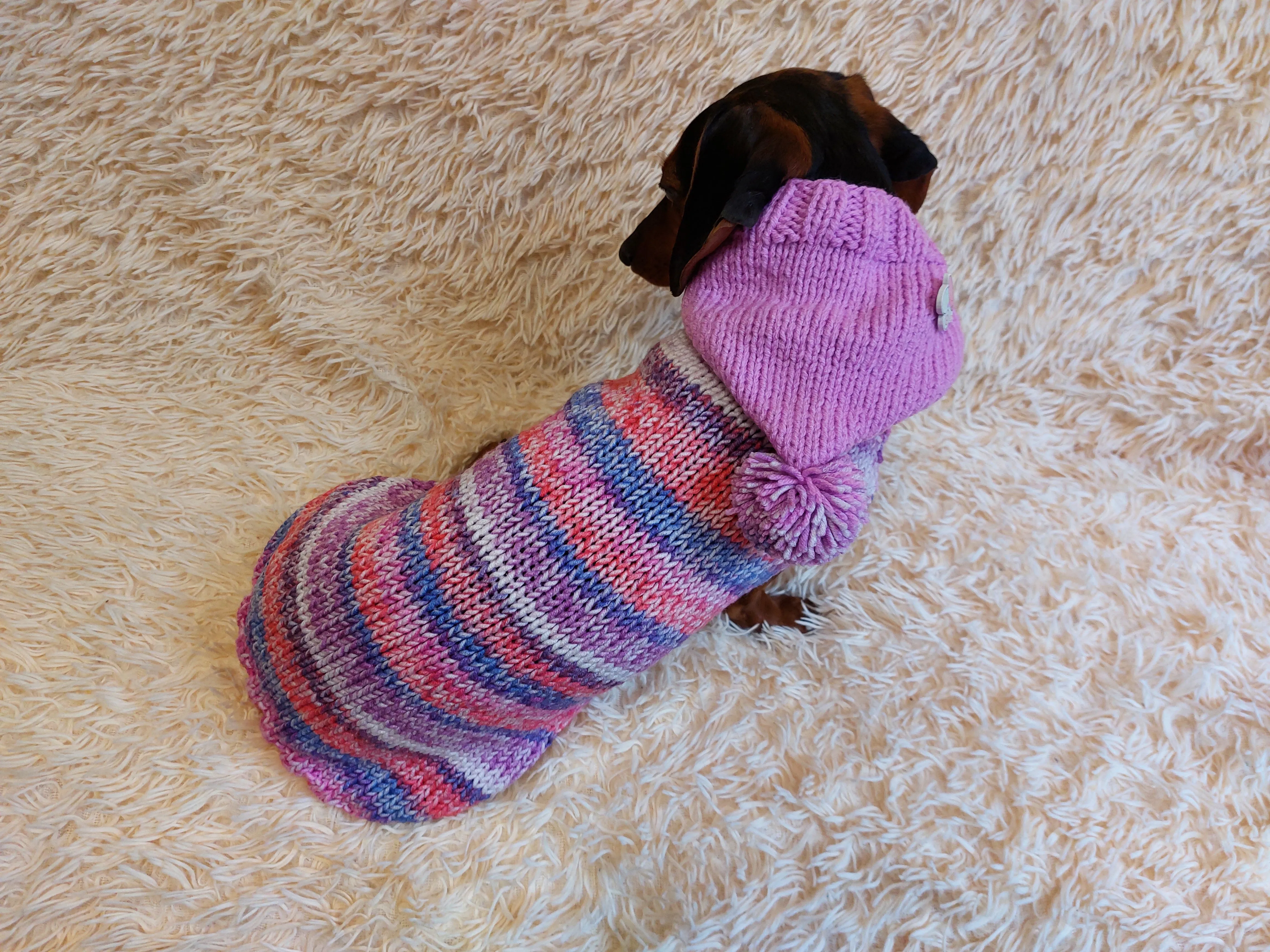 Warm Wool Stylish Clothes Pet Coat, Dog Hoodie, Dachshund Hooded Sweaters, Clothing for dachshund or small dog with sweater with hoodie