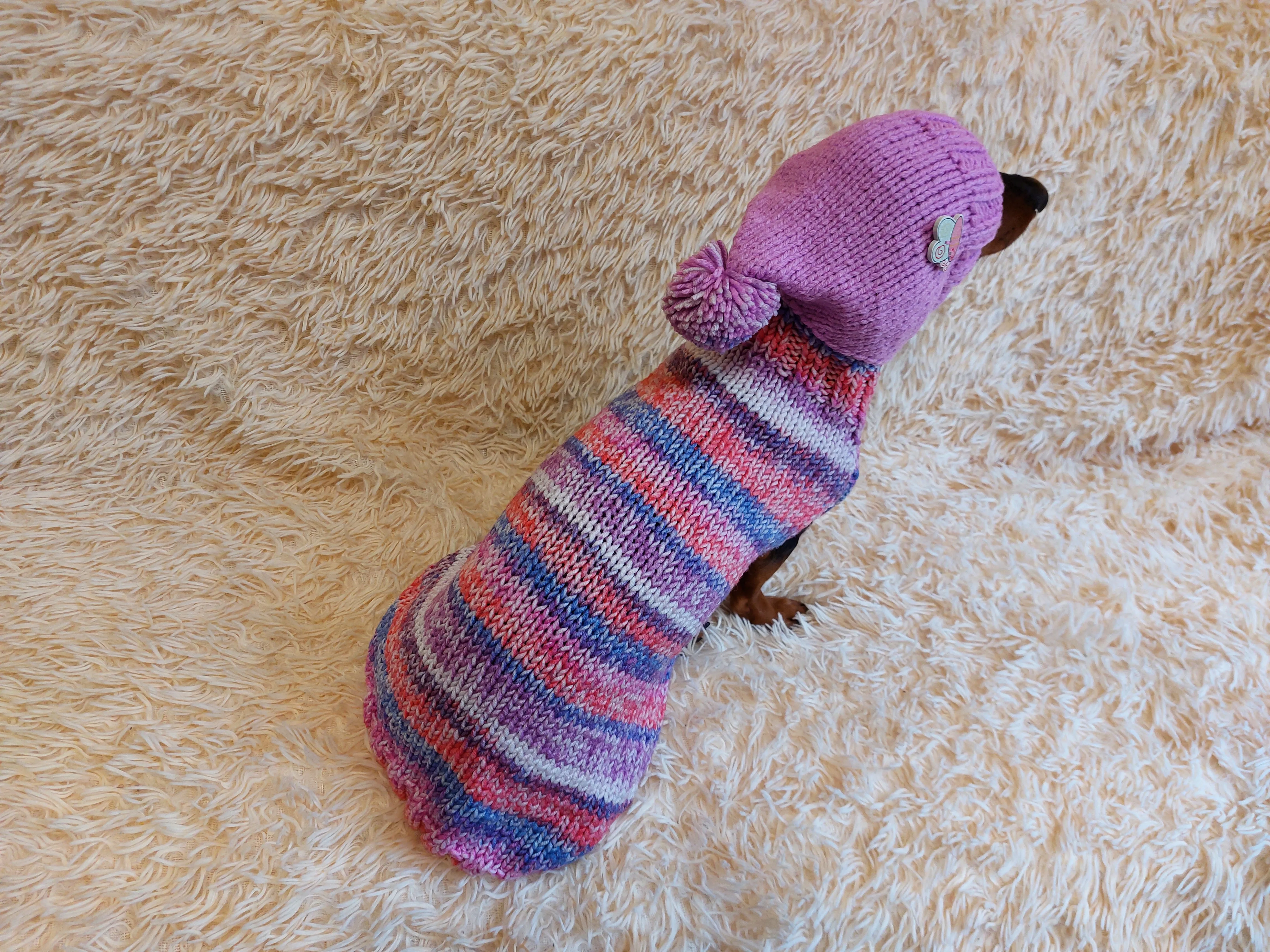 Warm Wool Stylish Clothes Pet Coat, Dog Hoodie, Dachshund Hooded Sweaters, Clothing for dachshund or small dog with sweater with hoodie