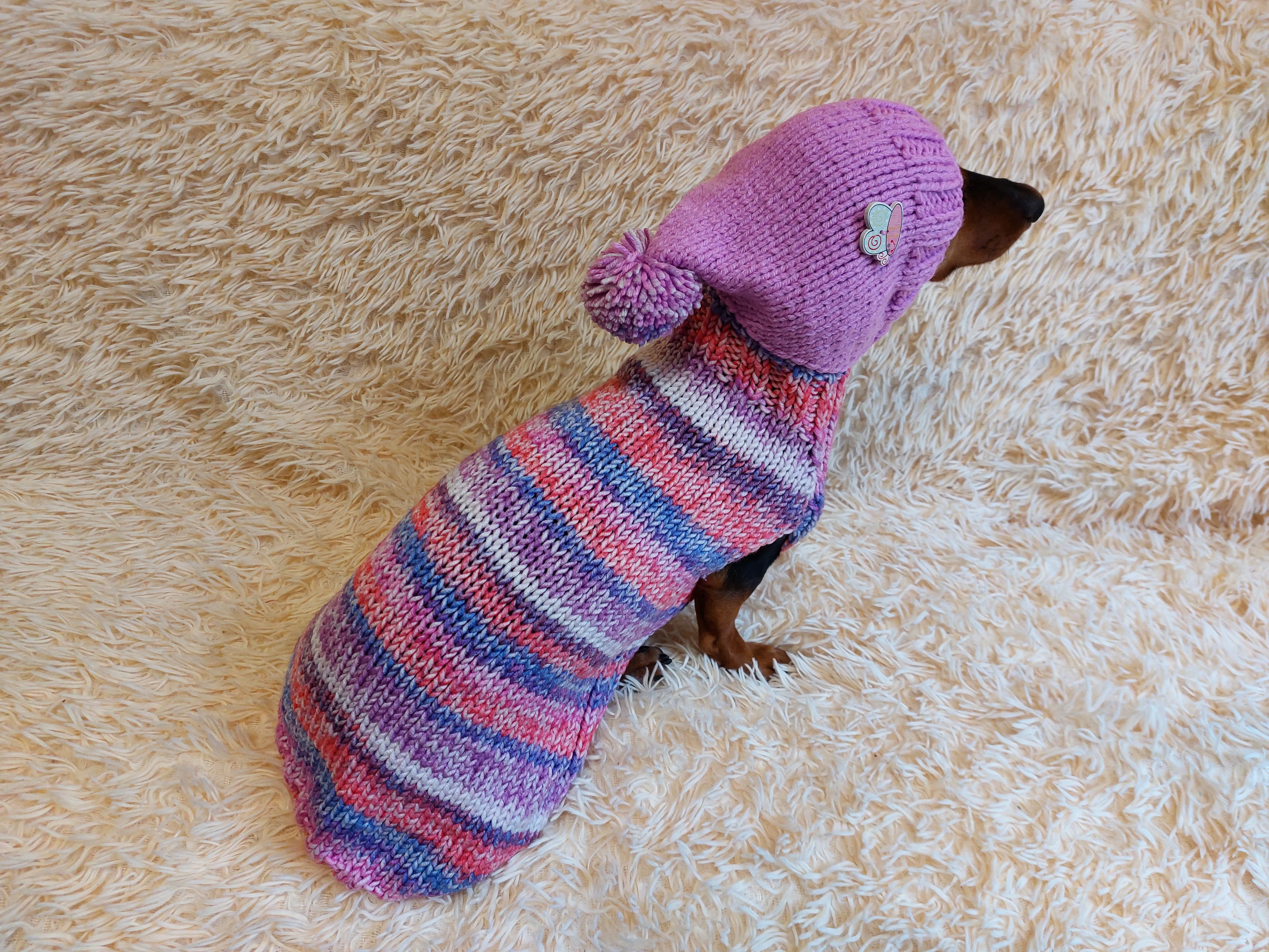 Warm Wool Stylish Clothes Pet Coat, Dog Hoodie, Dachshund Hooded Sweaters, Clothing for dachshund or small dog with sweater with hoodie