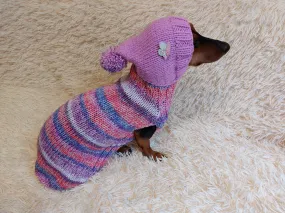 Warm Wool Stylish Clothes Pet Coat, Dog Hoodie, Dachshund Hooded Sweaters, Clothing for dachshund or small dog with sweater with hoodie