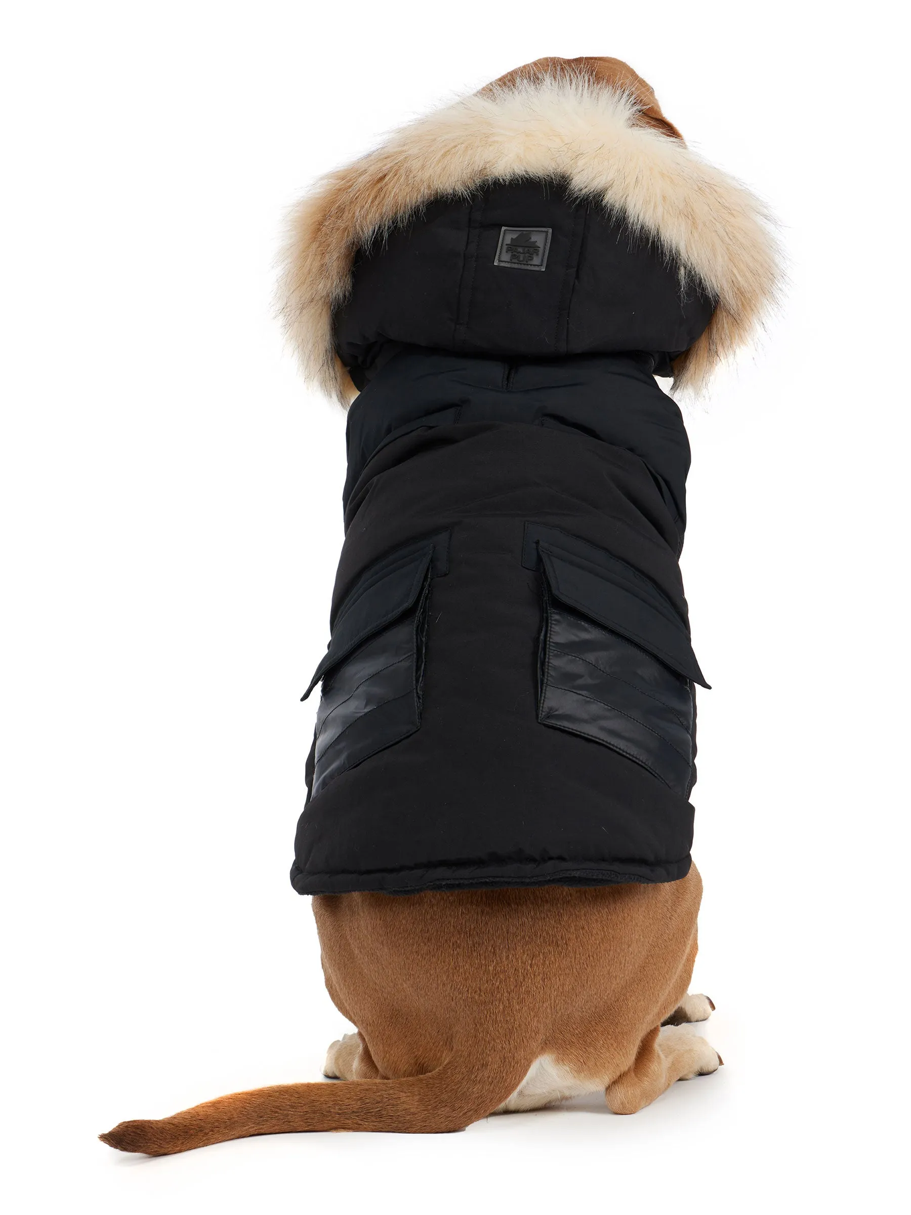 Zeus Jacket for Dogs w/Faux Fur Trim